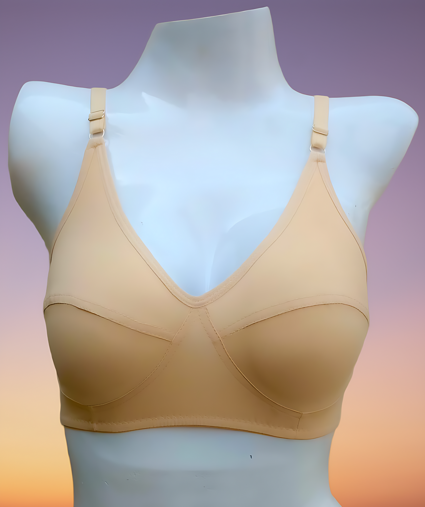 #Azadi Sale Pack Of 2 - Malai Jersey Bra – Ultra-Soft, Stretchable Comfort